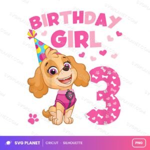 3rd Birthday Girl, 3rd Birthday Artwork, 3rd Birthday Sublimation Birthday PNG
