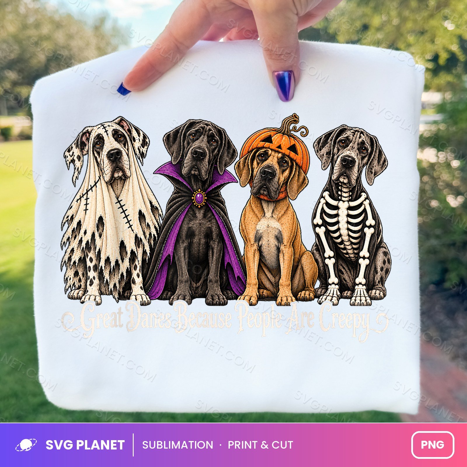 Great Danes Because People Are Creepy Vintage Four Dogs PNG
