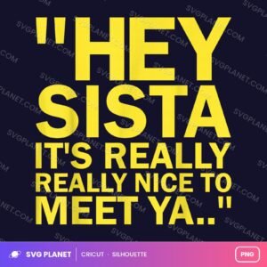 Hey Sista Its Really Nice To Meet Ya, Funny Sarcastic Quote Other PNG