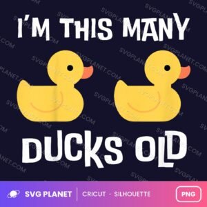 Im This Many Ducks Old Funny Birthday PNG