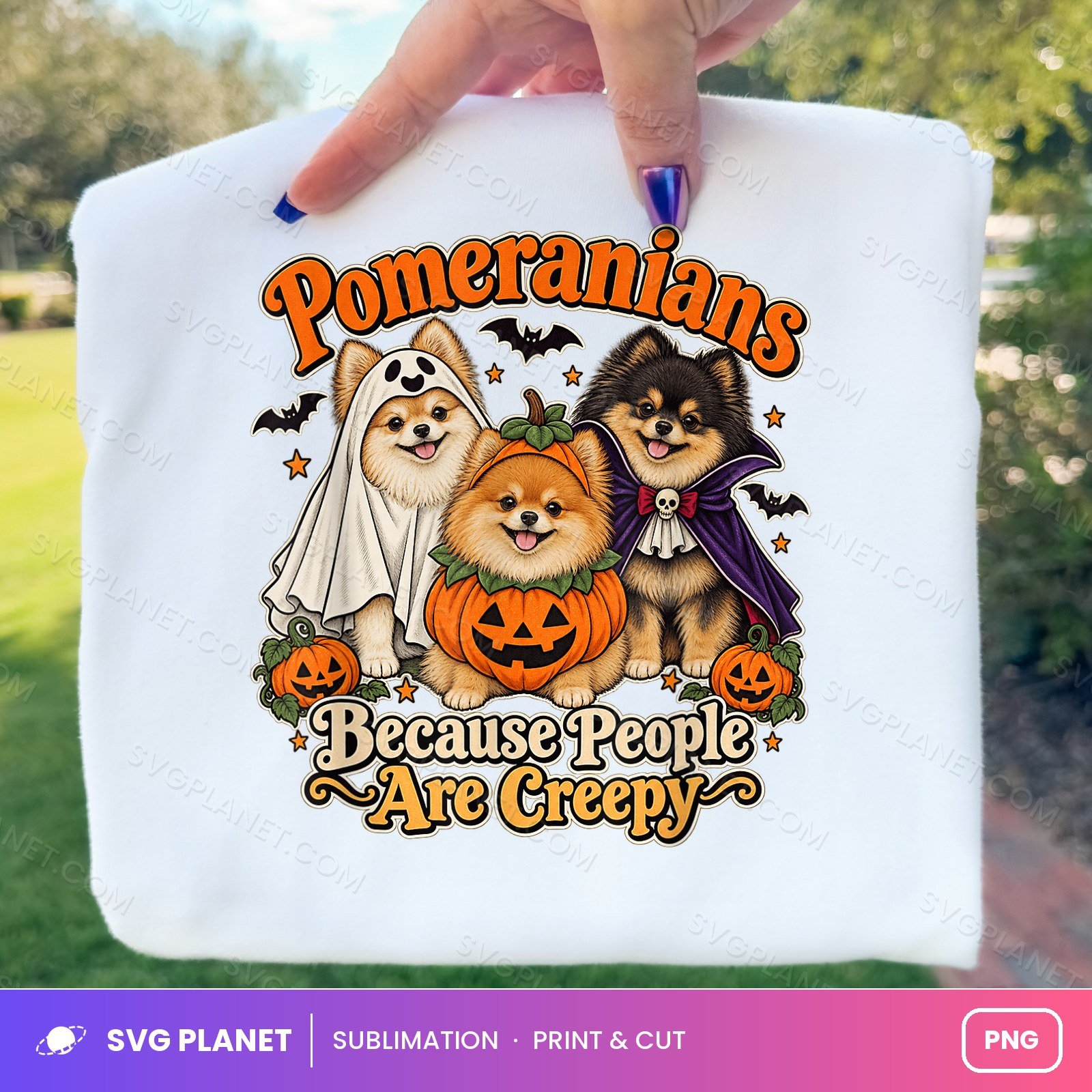 Pomeranians Because People Are Creepy PNG