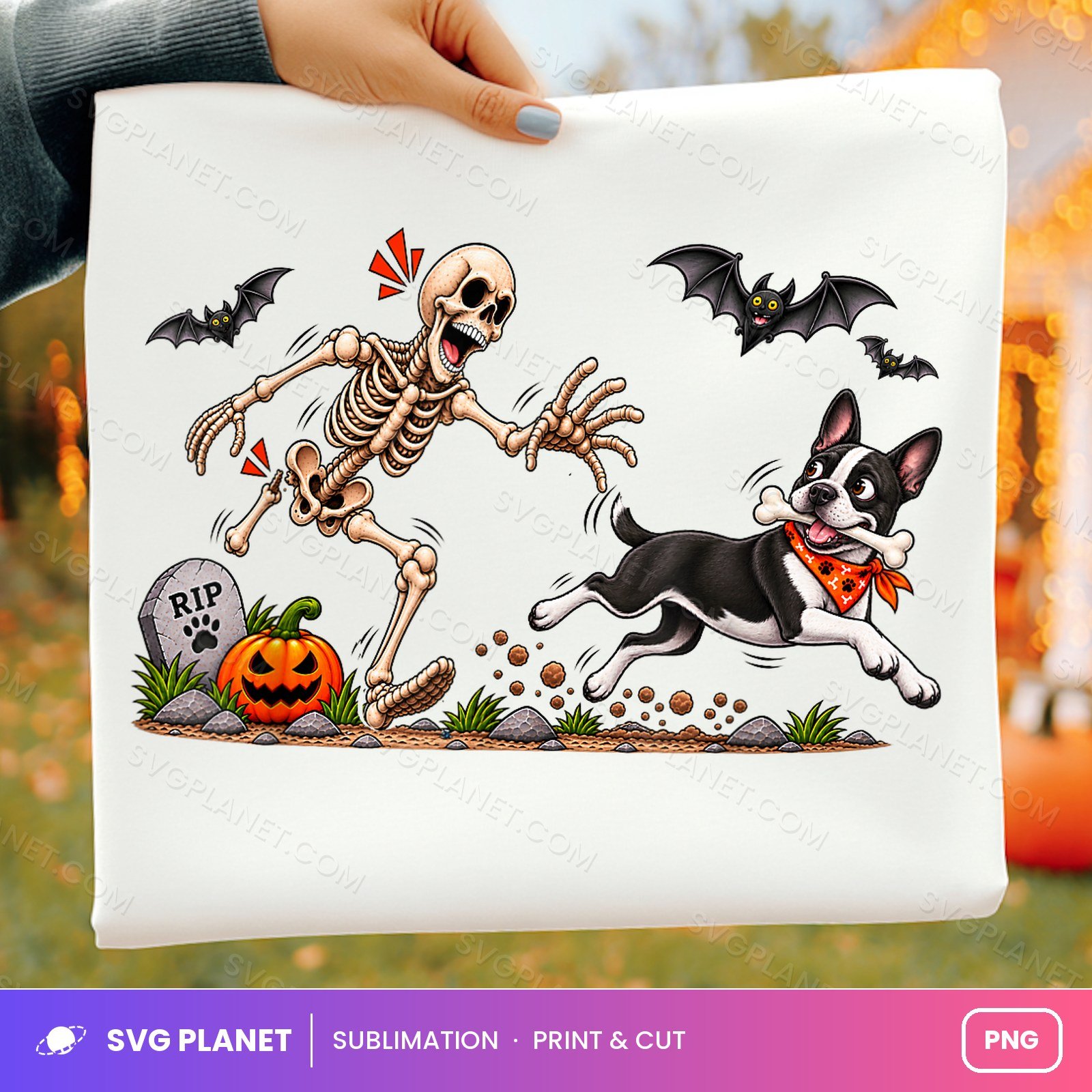 Skeleton Chased By Boston Terrier Halloween PNG
