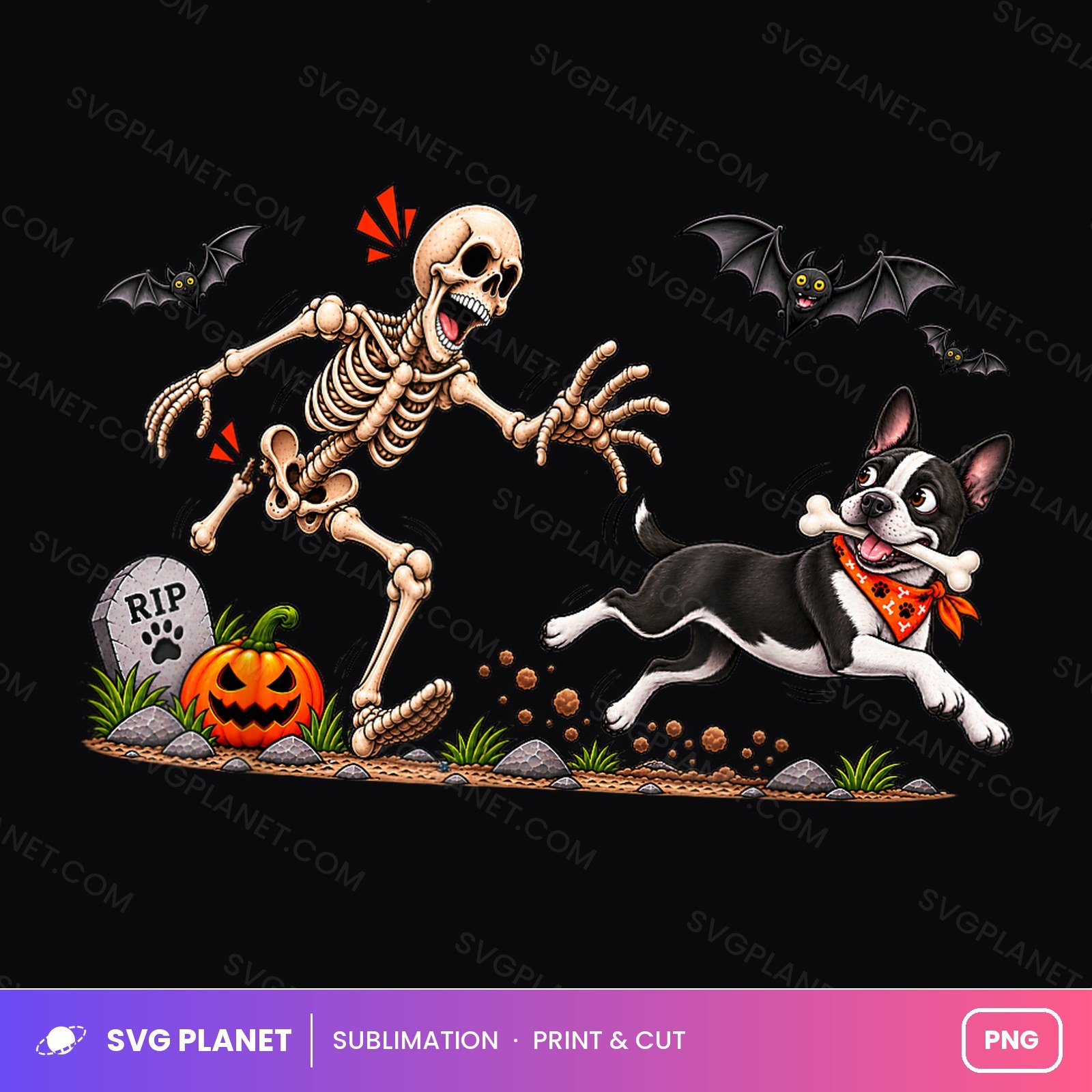 Skeleton Chased By Boston Terrier Halloween PNG - Image 2
